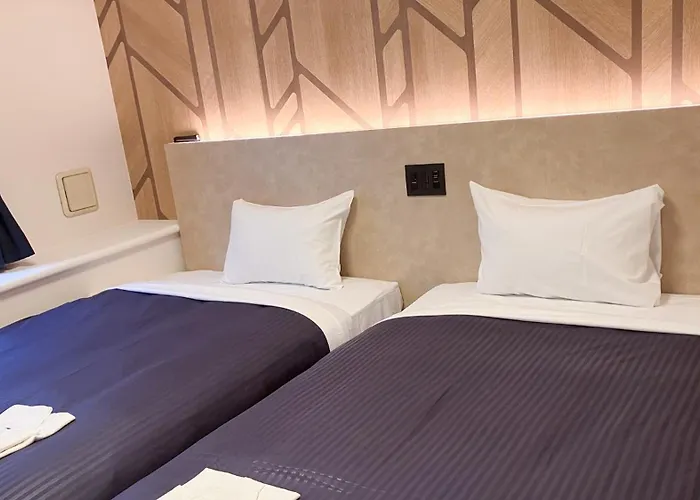 Hotel Livemax Budget Shinbashi